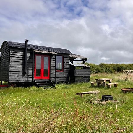Shepherds Hut In A Private Meadow With Sea Views Хартленд Экстерьер фото