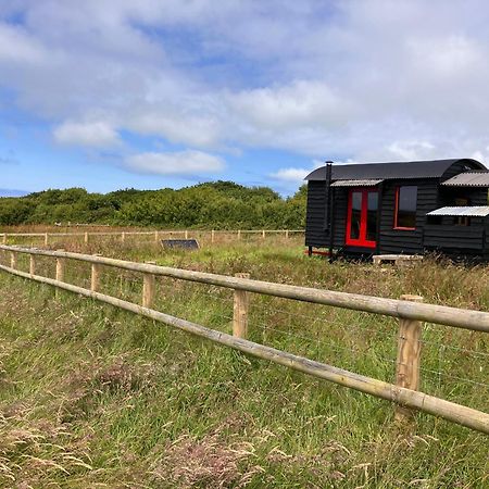 Shepherds Hut In A Private Meadow With Sea Views Хартленд Экстерьер фото