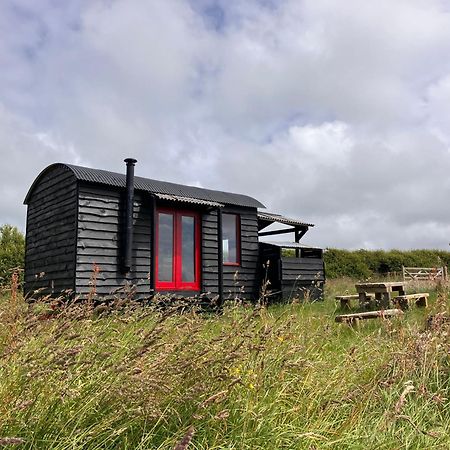 Shepherds Hut In A Private Meadow With Sea Views Хартленд Экстерьер фото