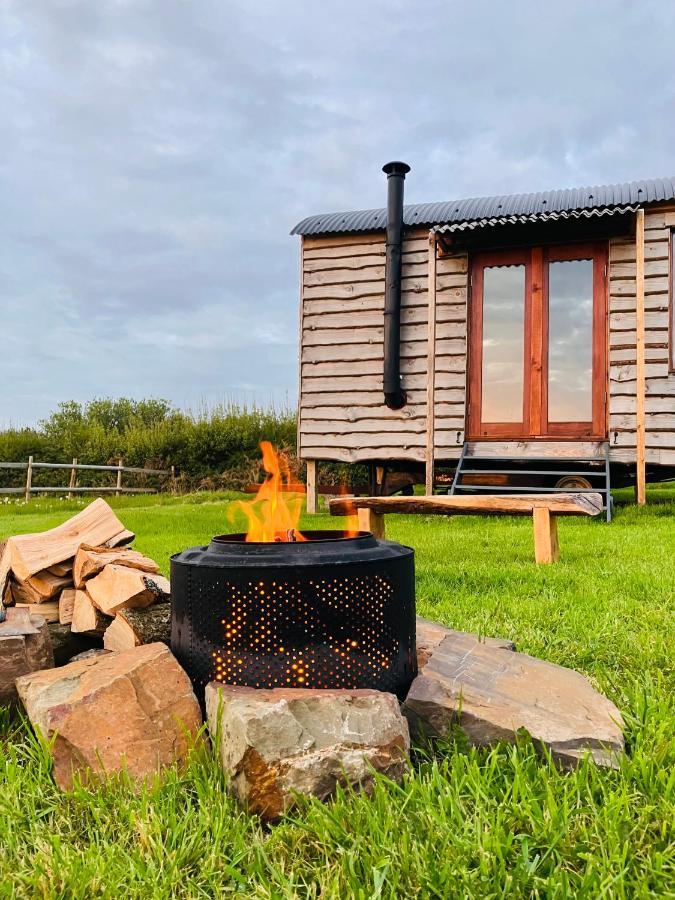 Shepherds Hut In A Private Meadow With Sea Views Хартленд Экстерьер фото