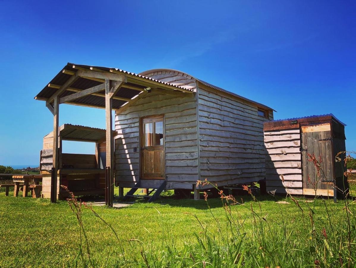 Shepherds Hut In A Private Meadow With Sea Views Хартленд Экстерьер фото