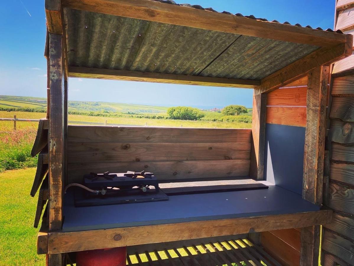 Shepherds Hut In A Private Meadow With Sea Views Хартленд Экстерьер фото