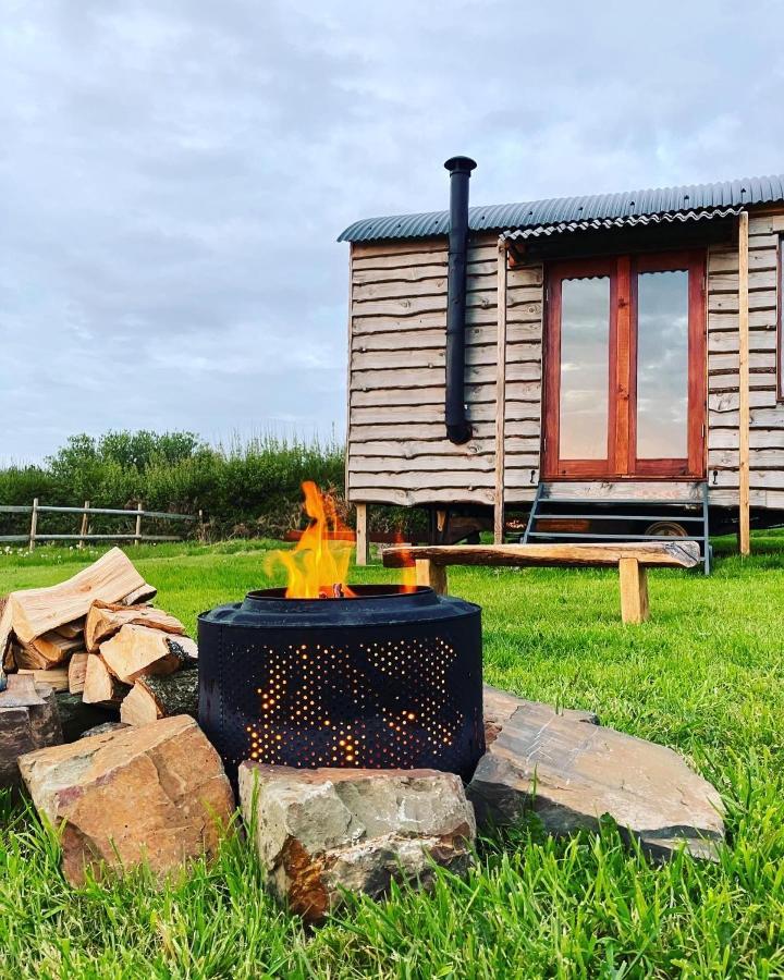 Shepherds Hut In A Private Meadow With Sea Views Хартленд Экстерьер фото