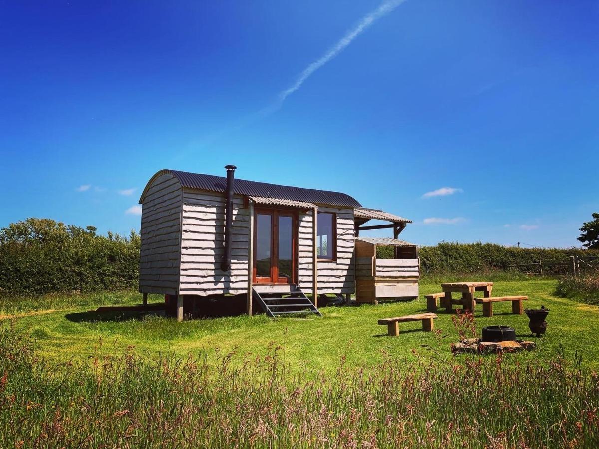 Shepherds Hut In A Private Meadow With Sea Views Хартленд Экстерьер фото
