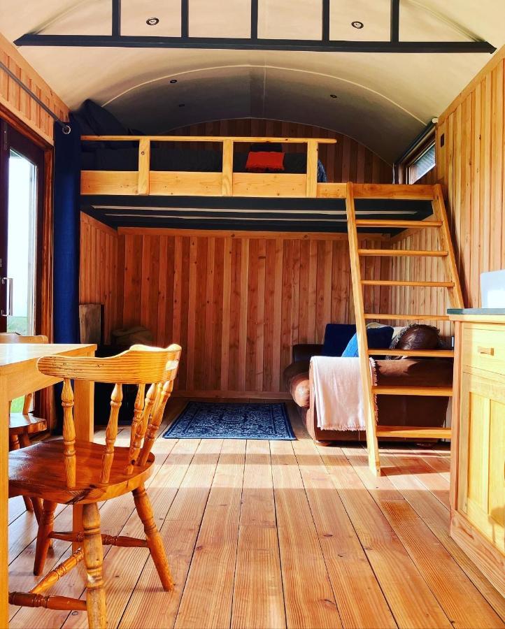 Shepherds Hut In A Private Meadow With Sea Views Хартленд Экстерьер фото